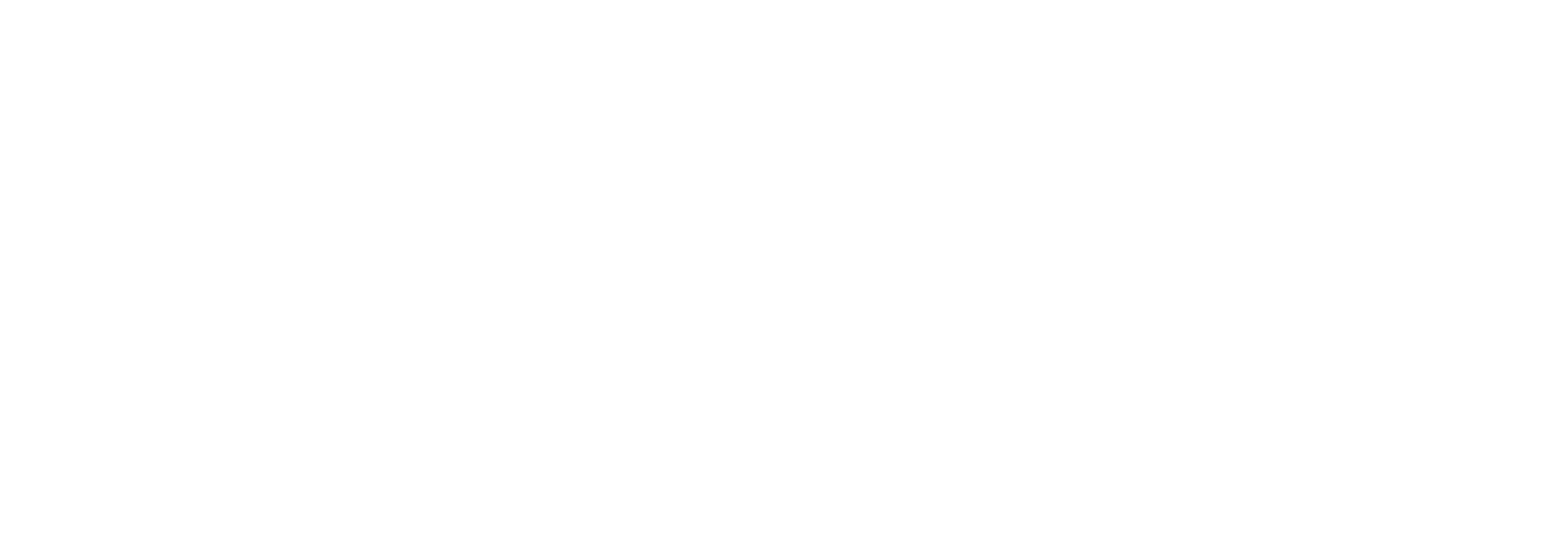 Anubis Protection Services Logo