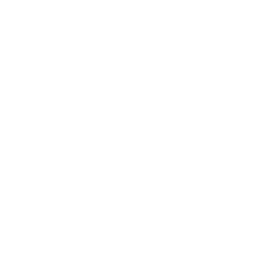 Vision Icon